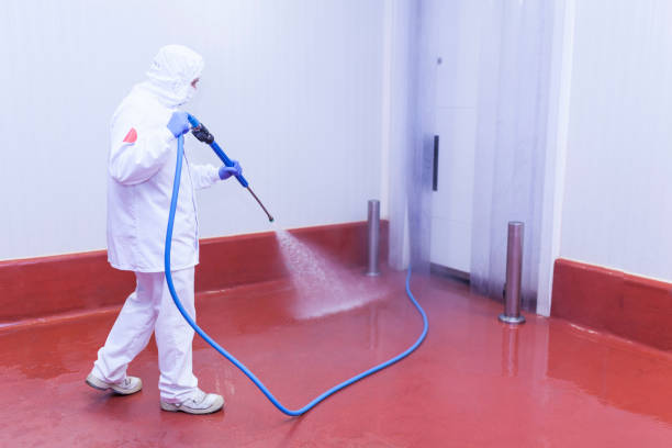 Best Solar Panel Cleaning  in East Bronson, FL