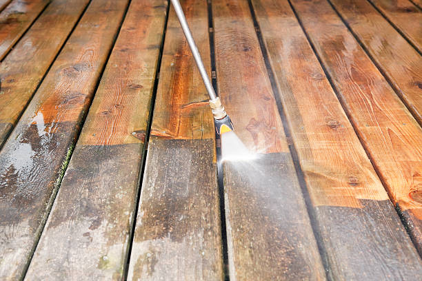 Animal Enclosure Cleaning in East Bronson, FL