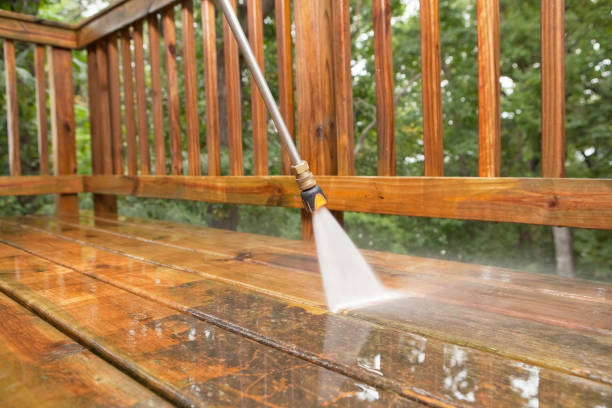 Best Building Exterior Washing  in East Bronson, FL